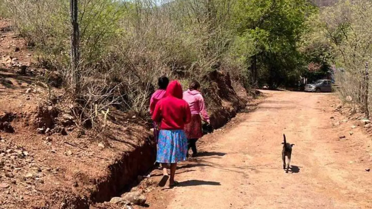 huyen de la Sierra Tarahumara por violencia del narco